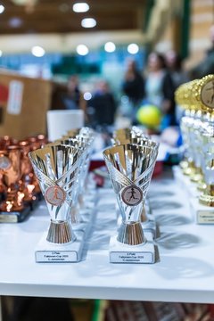 Bild 2 - Falko Cup